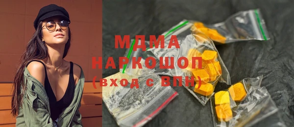 дживик Ельня
