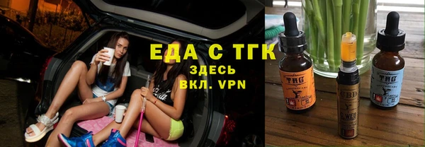 дживик Ельня