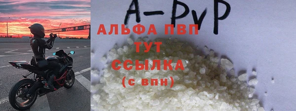 дживик Ельня