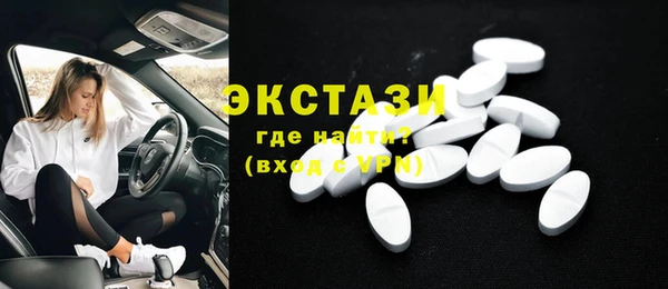дживик Ельня
