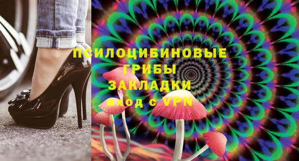 дживик Ельня