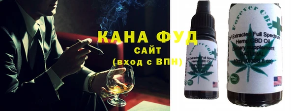 дживик Ельня