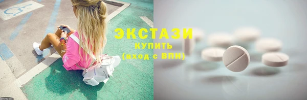 дживик Ельня