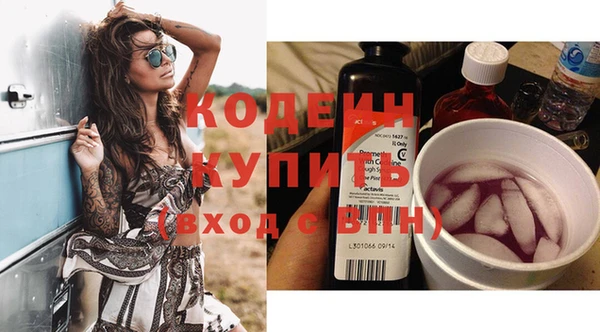 дживик Ельня