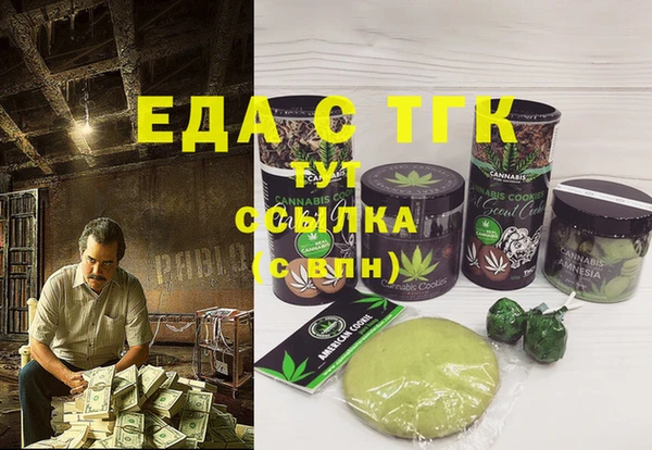 дживик Ельня