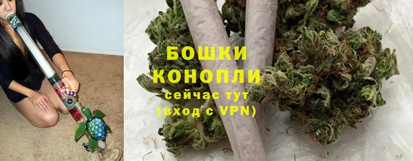дурь Елизово