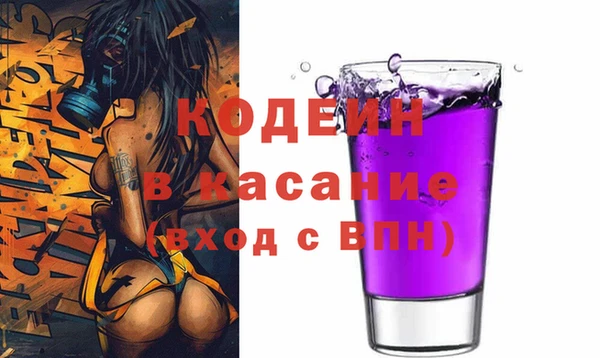 дживик Ельня