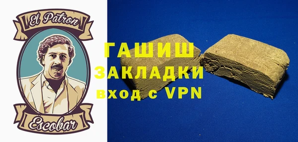 дживик Ельня