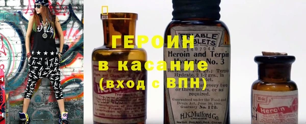дживик Ельня