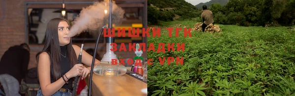 дурь Елизово