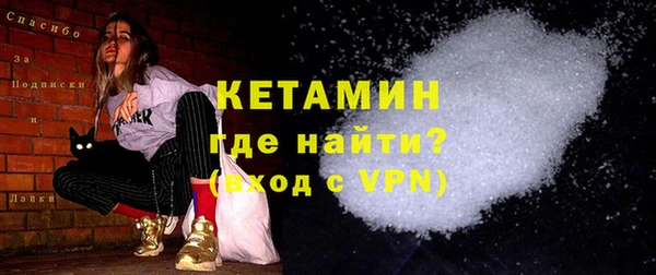 дживик Ельня