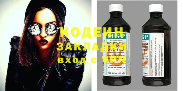 дживик Ельня