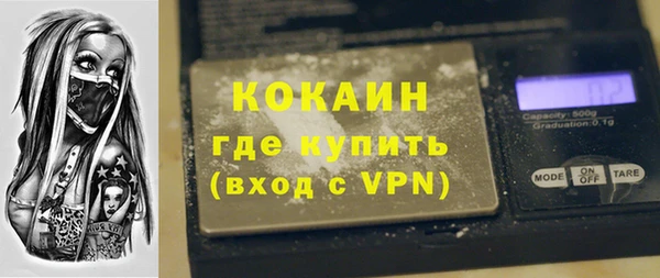 дживик Ельня