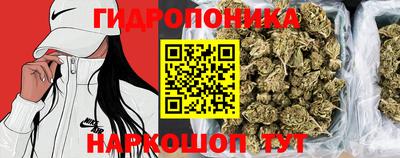 экстази Славгород
