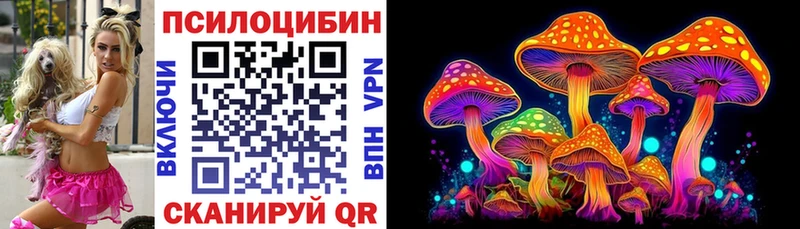 Галлюциногенные грибы Cubensis  Рассказово 